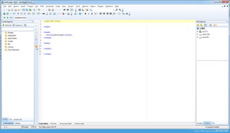 Webuilder Portable 便攜高效的網頁代碼編輯器